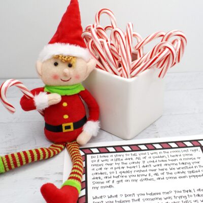 Tips and Ideas for Your Classroom Elf
