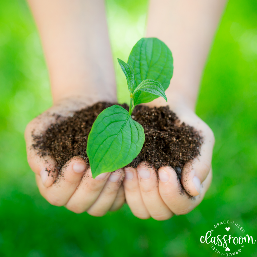 A child's hand holding a clump of dirt with a small sprout Tip #3 for Celebrating Earth Day with Kids is to plant a tree.