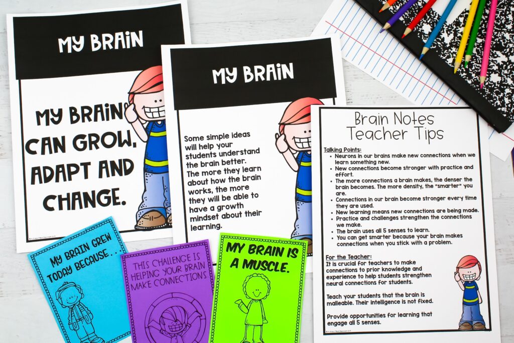 Posters and notes about the brain