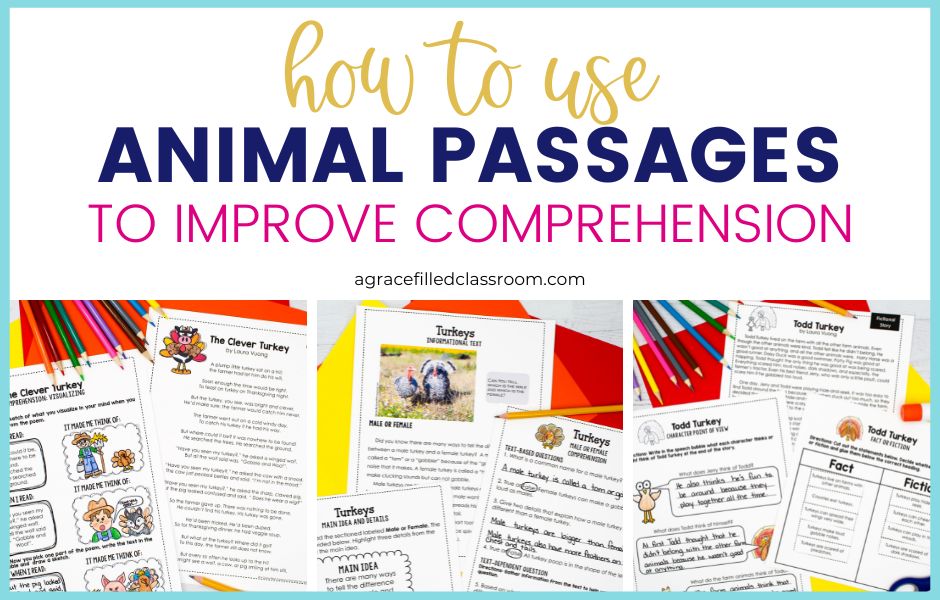 How to use animal passages to improve comprehension