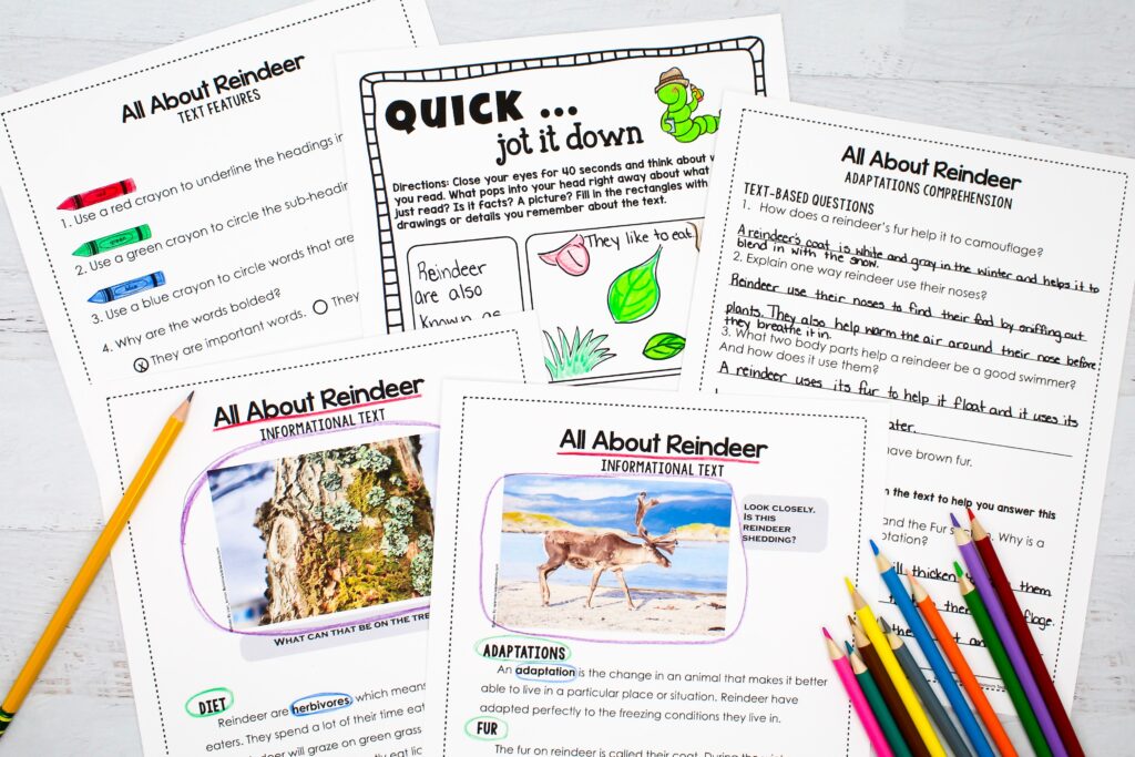 A variety of activities for informative reading passages