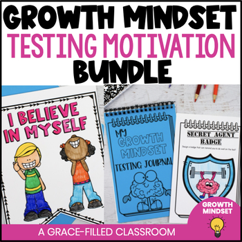 A product cover for the Growth Mindset Testing Motivation product